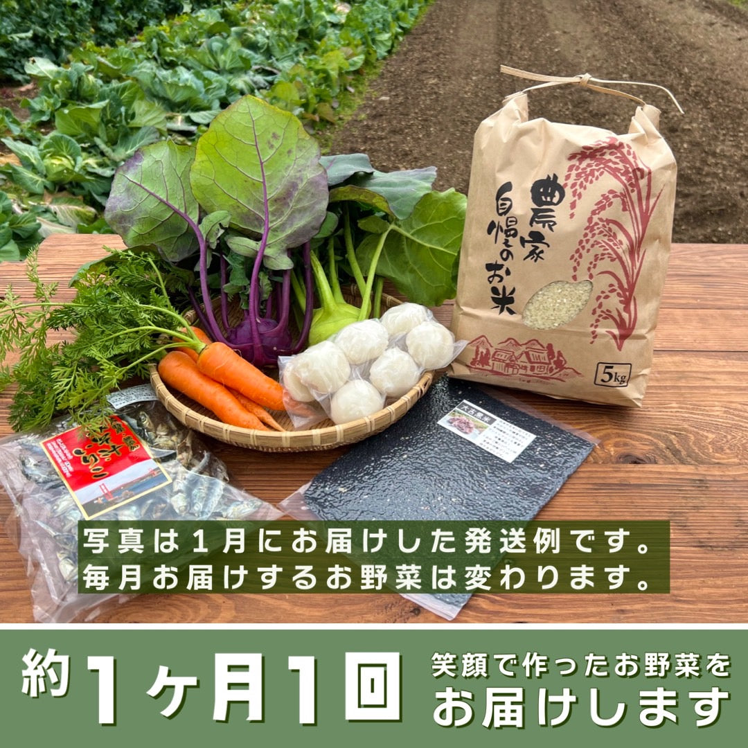 定期便【毎月1度】(月額)